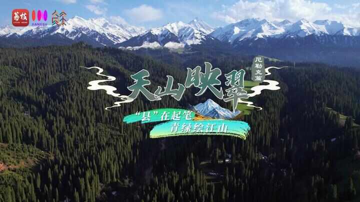 “县”在起笔 青绿绘江山丨天山映翠处,云杉碧水共新生