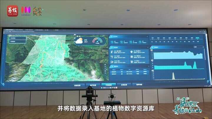 “县”在起笔 青绿绘江山丨天山映翠处,云杉碧水共新生