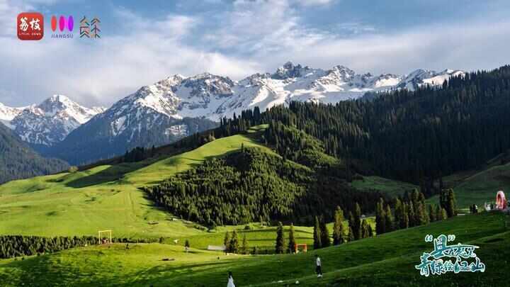 “县”在起笔 青绿绘江山丨天山映翠处,云杉碧水共新生