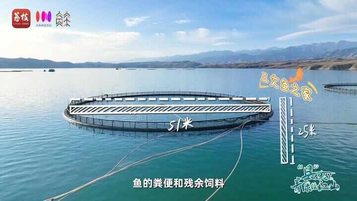 “县”在起笔 青绿绘江山丨天山映翠处,云杉碧水共新生