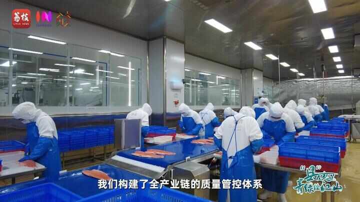 “县”在起笔 青绿绘江山丨天山映翠处,云杉碧水共新生