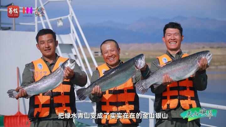 “县”在起笔 青绿绘江山丨天山映翠处,云杉碧水共新生