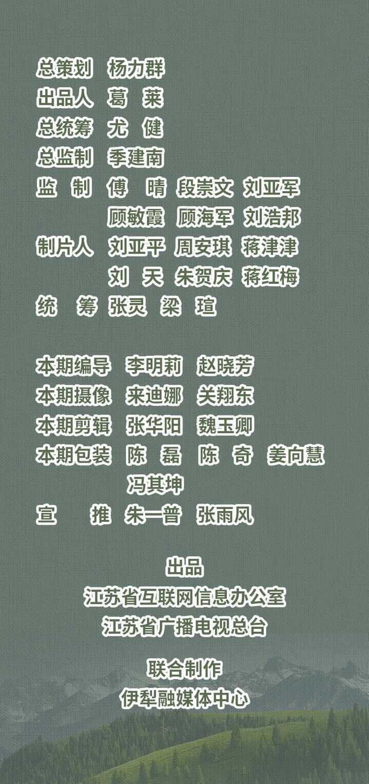 “县”在起笔 青绿绘江山丨天山映翠处,云杉碧水共新生