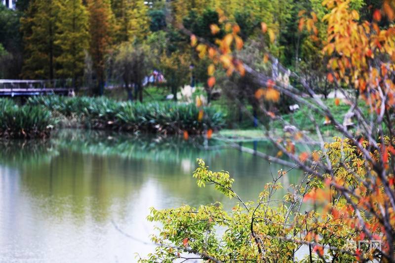 瞰贵州丨湖畔藏尽秋意浓