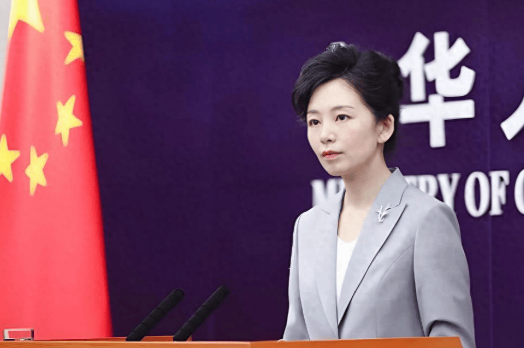 中方下了“最后通牒”!认定荷兰100%担责,再不悔改一切后果只能自负