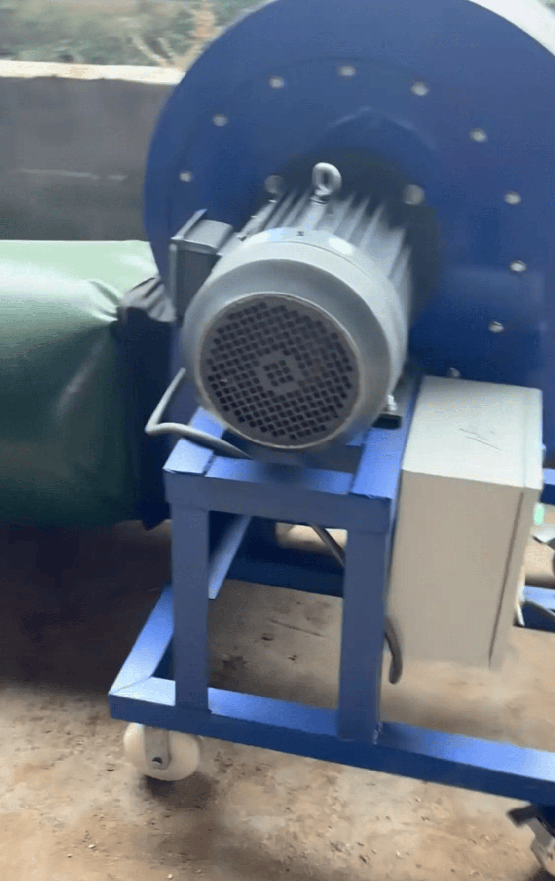 阴雨50天，他用3200块救回30万斤玉米